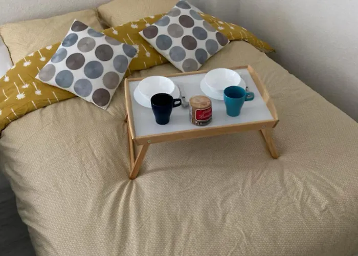 Bleu Idealement Situe Gare Coeur De Acces Bus Direct Futuroscope