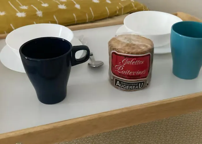 Bleu Idealement Situe Gare Coeur De Acces Bus Direct Futuroscope