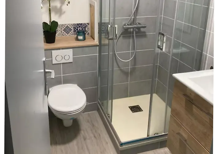 Bleu Idealement Situe Gare Coeur De Acces Bus Direct Futuroscope Apartment *